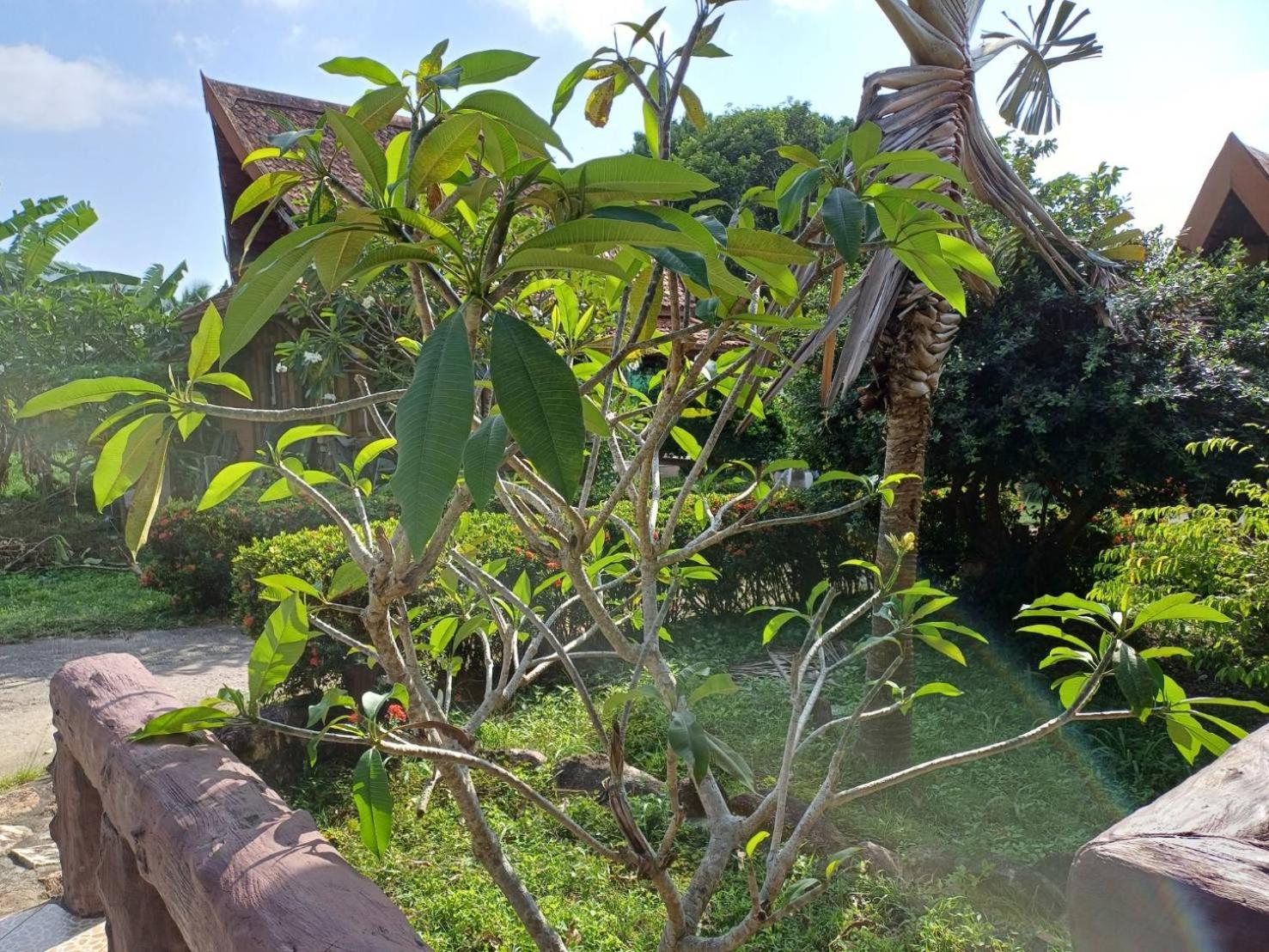 Orchid Home Ko Tao Exterior photo